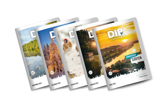 Darstellung der Cover des DIB Regionalmagazins