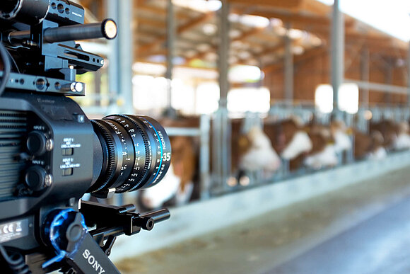 Foto einer Videokamera in einem Kuhstall